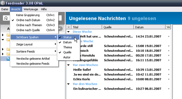 Programmeinstellungen 3 - die Ansicht Screenshot Feedreader